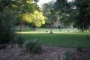 Botanischer Garten in Brisbane