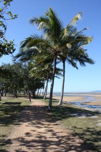 Palmen und Strand