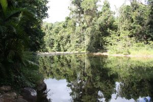 Natur Swimming Pool