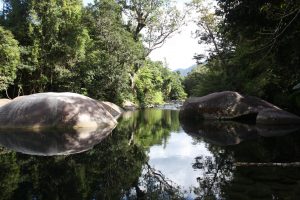 Natur Swimming Pool