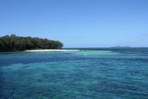 Blick auf Green Island